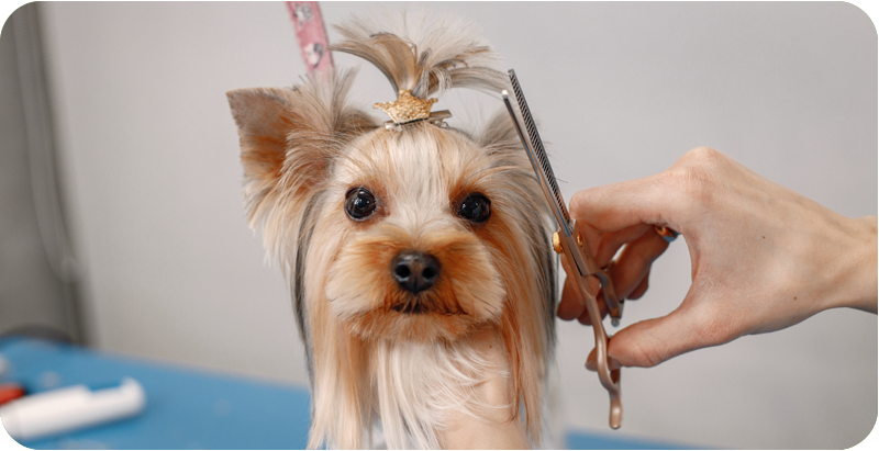 services-image-300×154 2 services-image-300x154 2